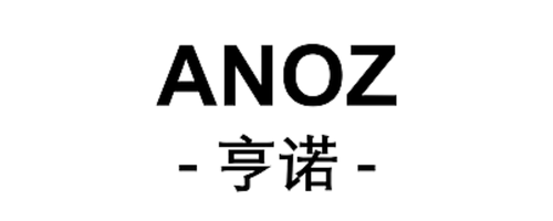 Onnet Consulting's client Anoz